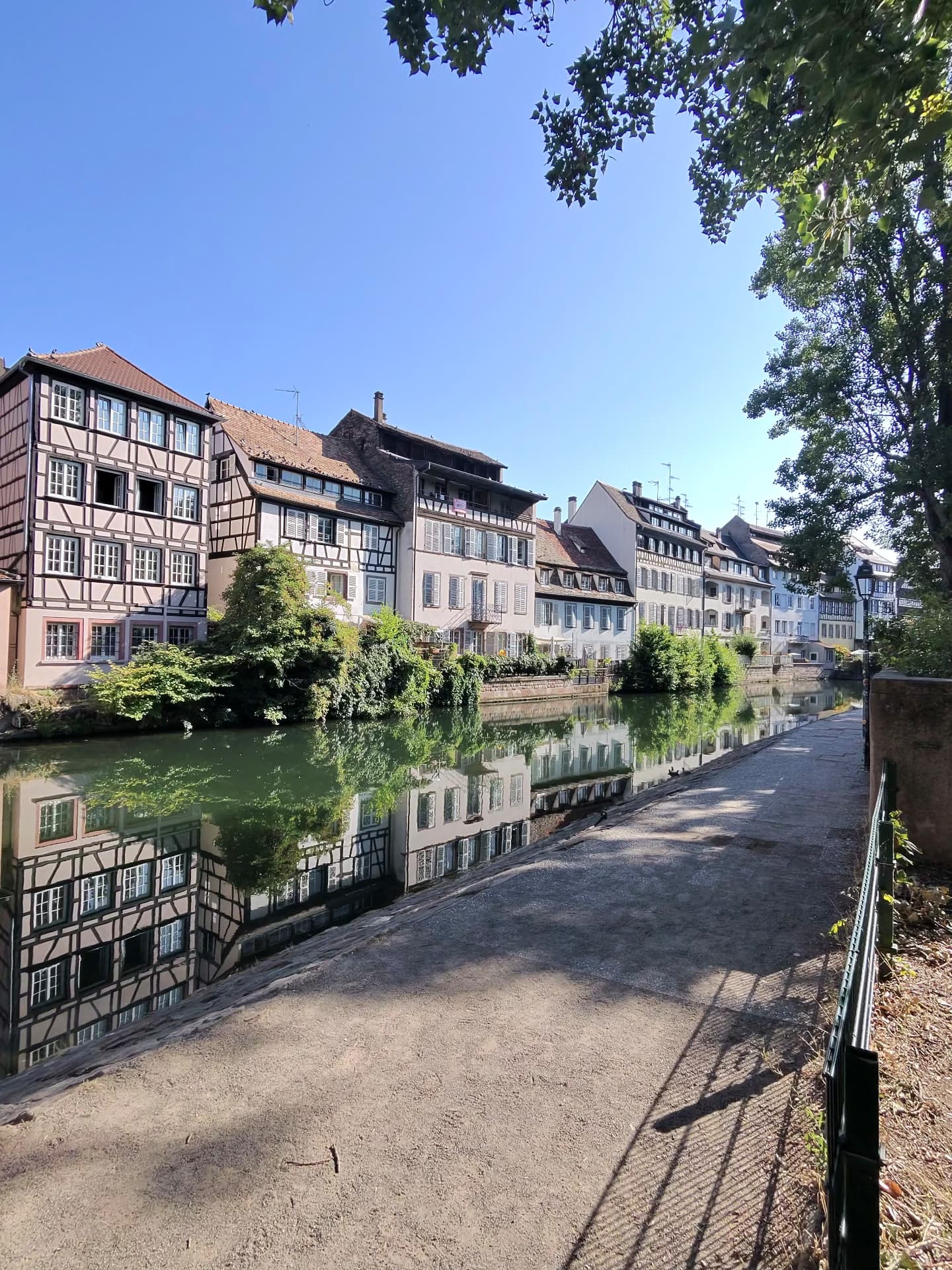Timber-framed houses reflected in the still canal water of Strasbourg's Petite France quarter